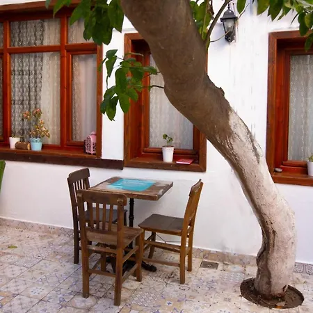 Lily Town Vandrarhem Antalya